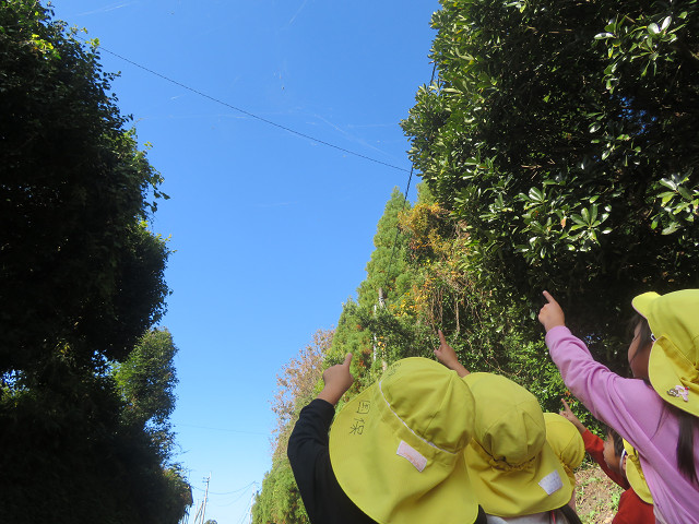 ファイル 1585-2.jpg