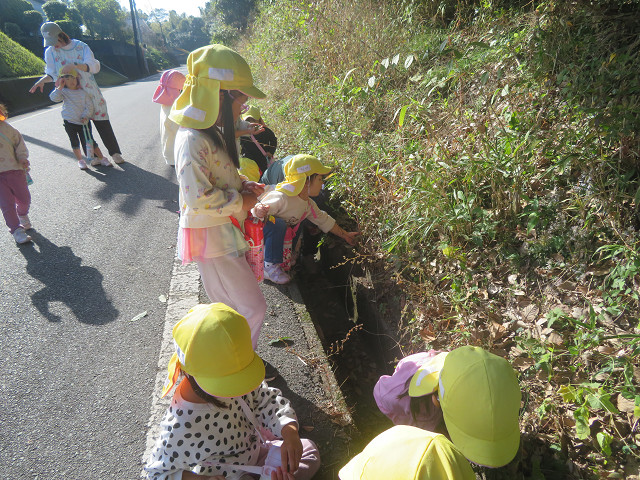 ファイル 1585-3.jpg