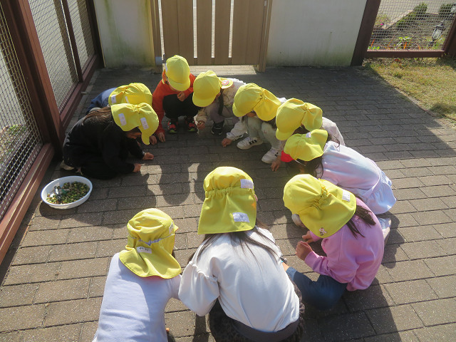 ファイル 1585-5.jpg