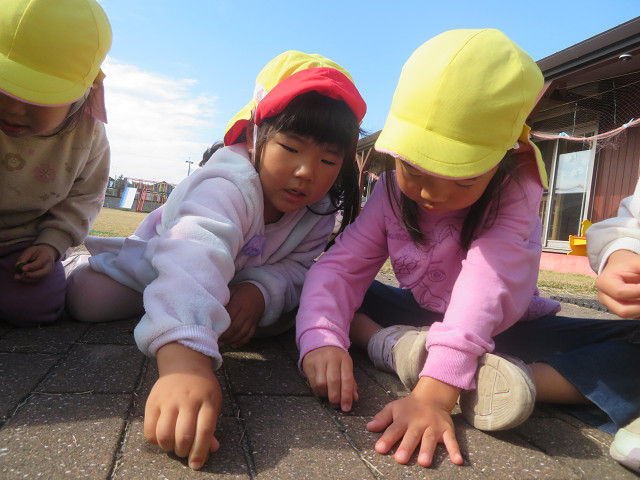 ファイル 1586-1.jpg