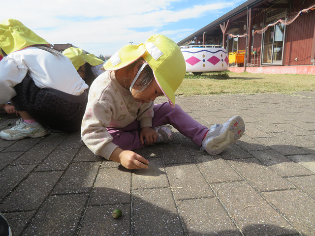 ファイル 1586-3.jpg