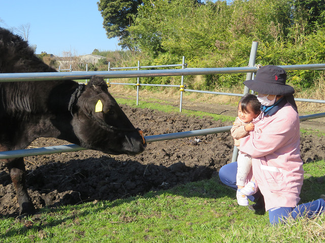 ファイル 1588-5.jpg